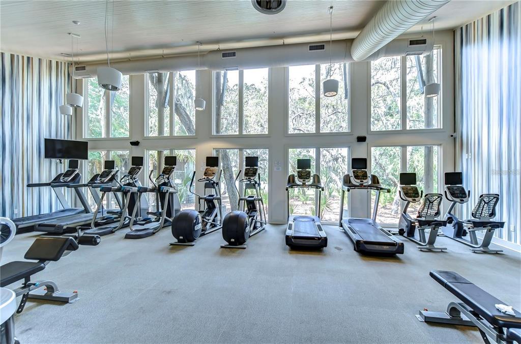 5703 Colony Glen Road Lithia, FL 33547 - Photo 48 of 53 a view of a room with gym equipment