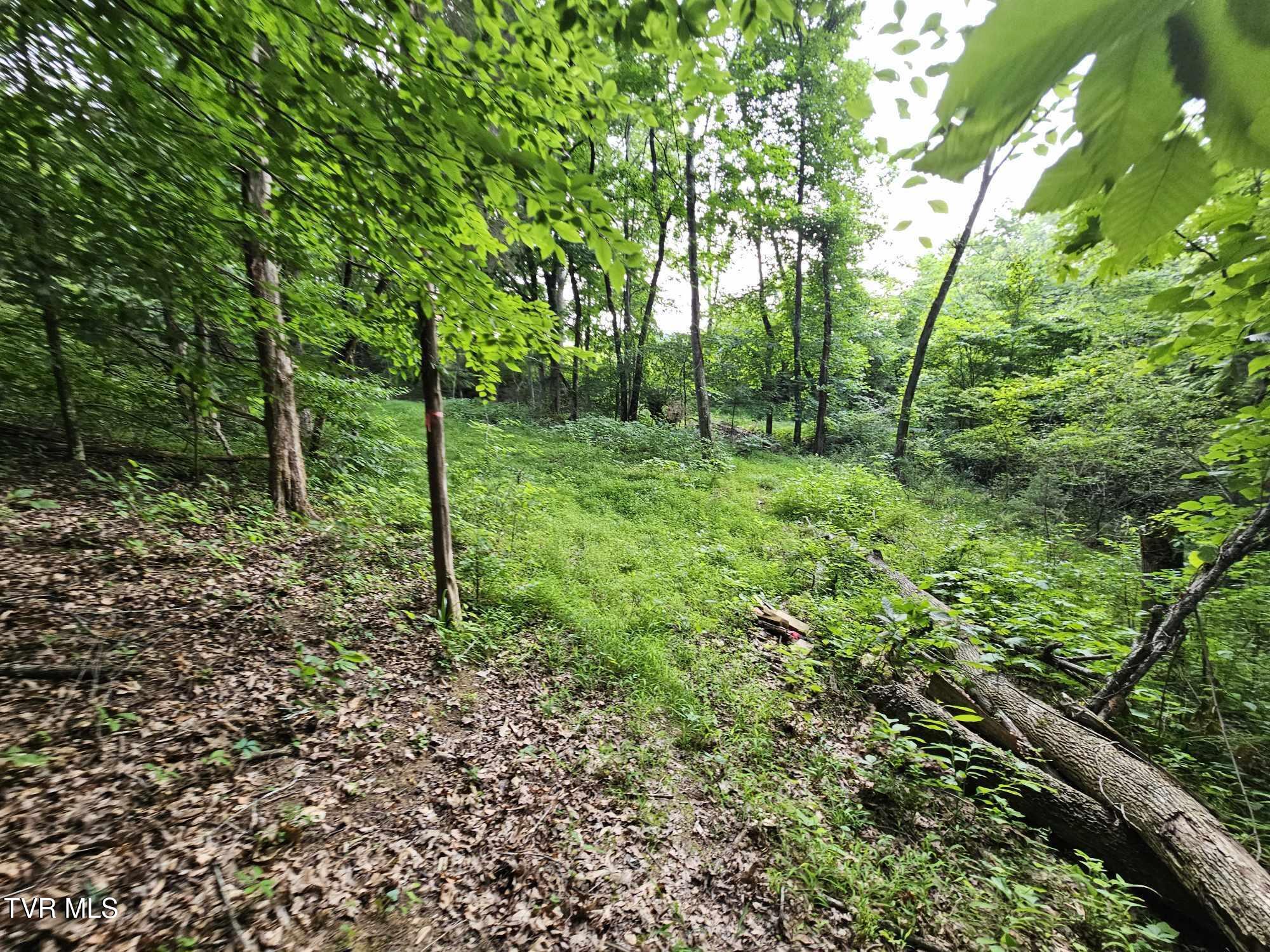 2264 Devault Bridge Road Piney Flats, TN 37686 - Photo 24 of 29 ddee807a-b02b-413d-a6eb-ff23553d44ec