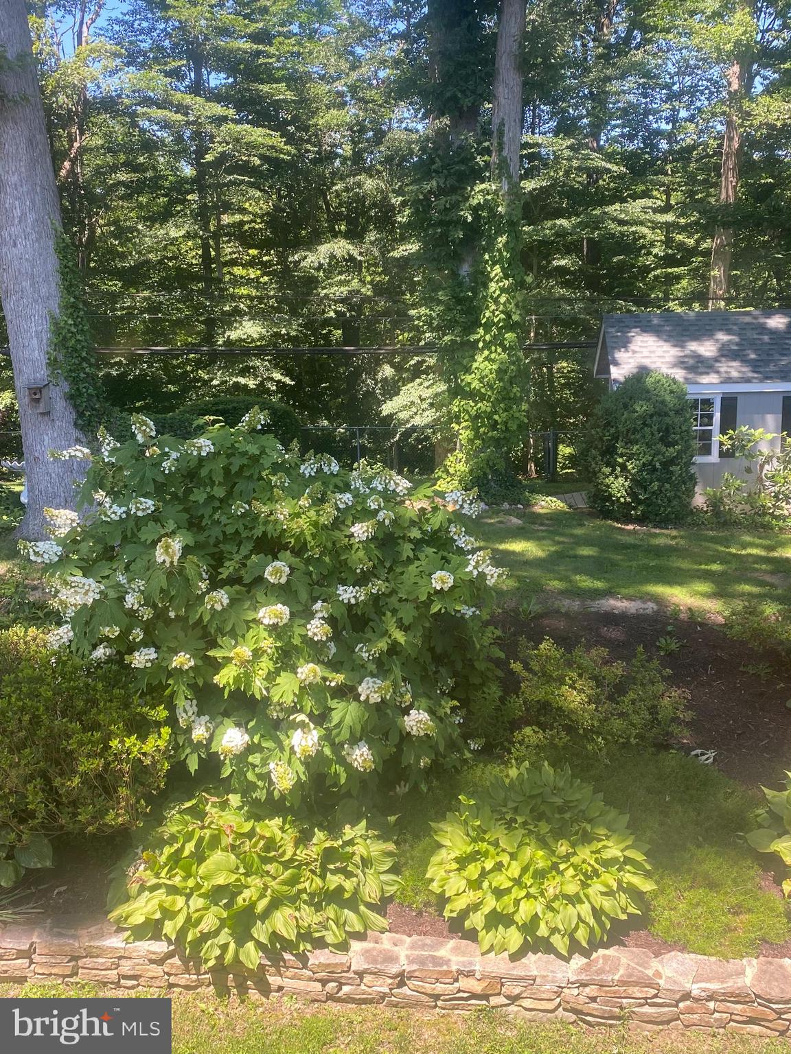 7623 Mendota Place Springfield, VA 22150 - Photo 14 of 14 GORGEOUS LOT -0.26 ACRE