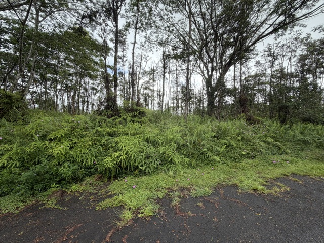 357 Puna Road Pahoa, HI 96778 - Photo 5 of 10