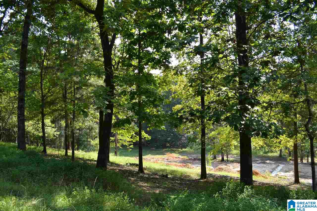6 Pawnee Drive Pelham, AL 35124 - Photo 1 of 14