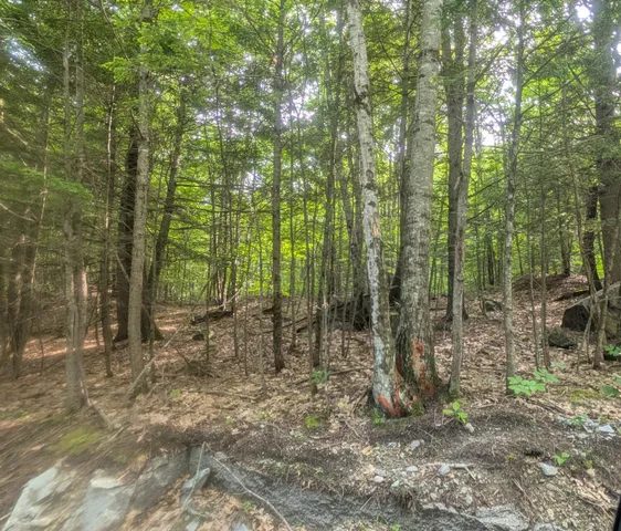 $165,000 | M3-l1a-1 Temple Hill Road, Waterford, ME 04088