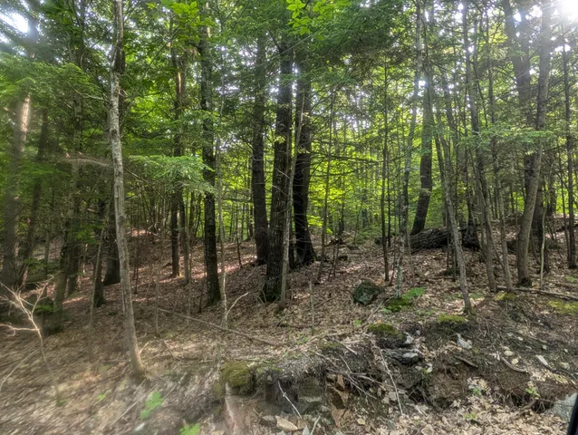 $165,000 | M3-l1a-1 Temple Hill Road, Waterford, ME 04088