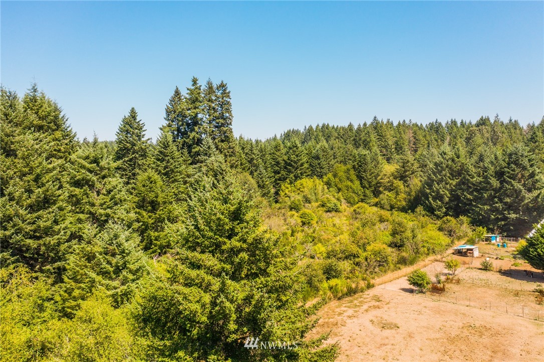 7935 Van Decar Road Southeast Port Orchard, WA 98367 - Photo 5 of 24 Gallery Image 5