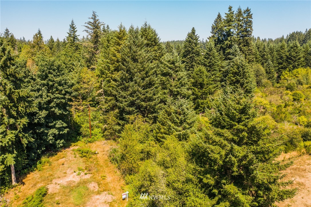 7935 Van Decar Road Southeast Port Orchard, WA 98367 - Photo 6 of 24 Gallery Image 6
