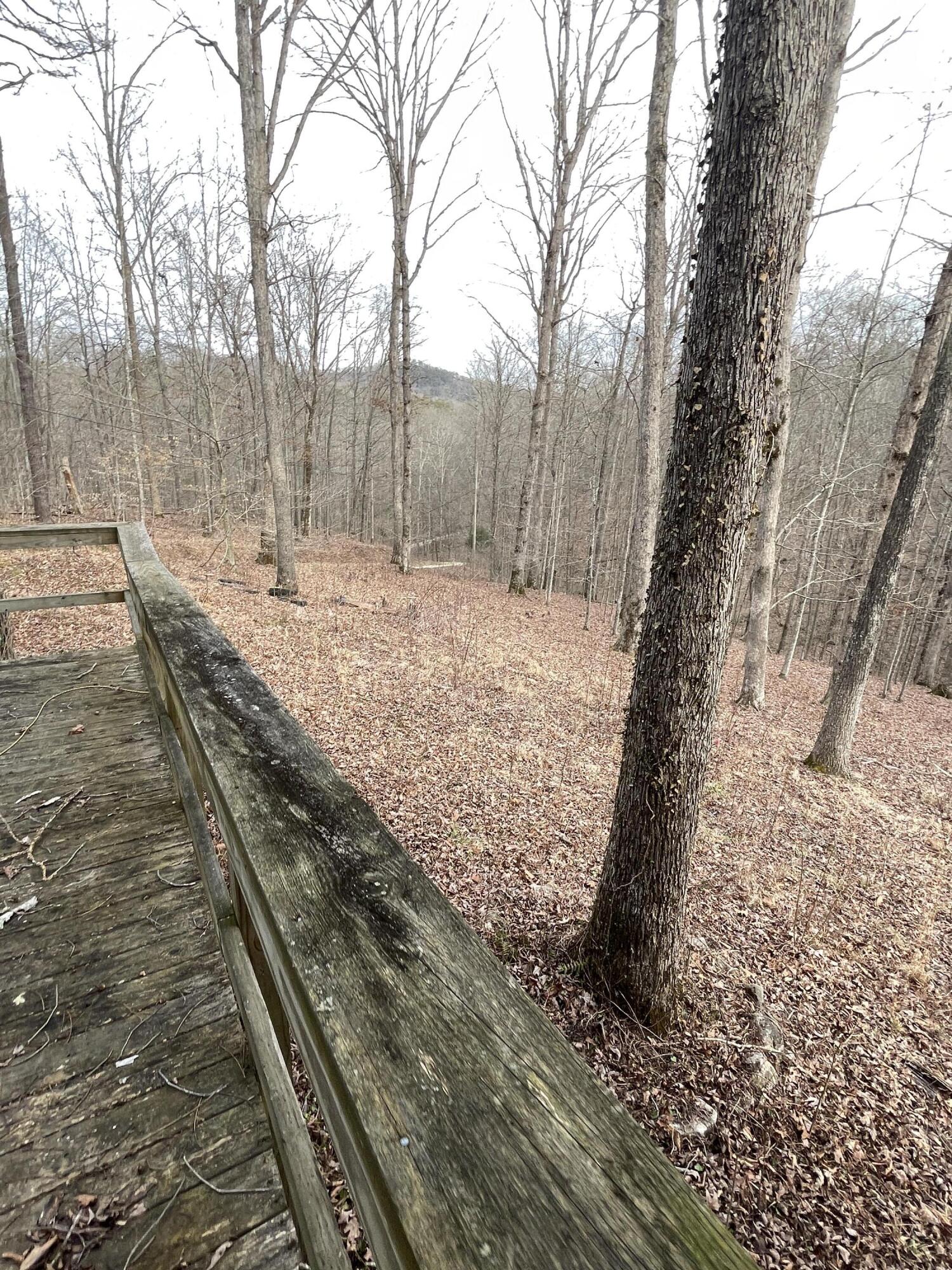 91 Pipeline Road Frenchburg, KY 40322 - Photo 27 of 40 IMG_0453