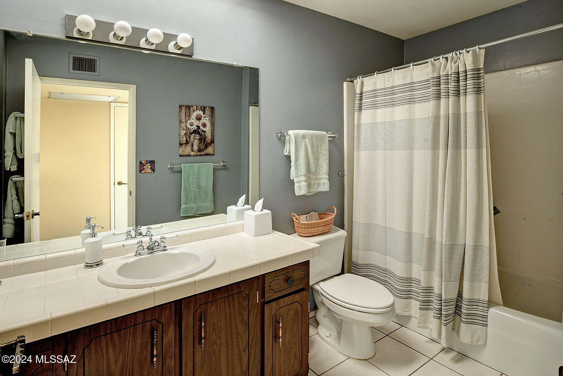 729 West Las Lomitas Road Tucson, AZ 85704 - Photo 26 of 40 HALL BATHROOM