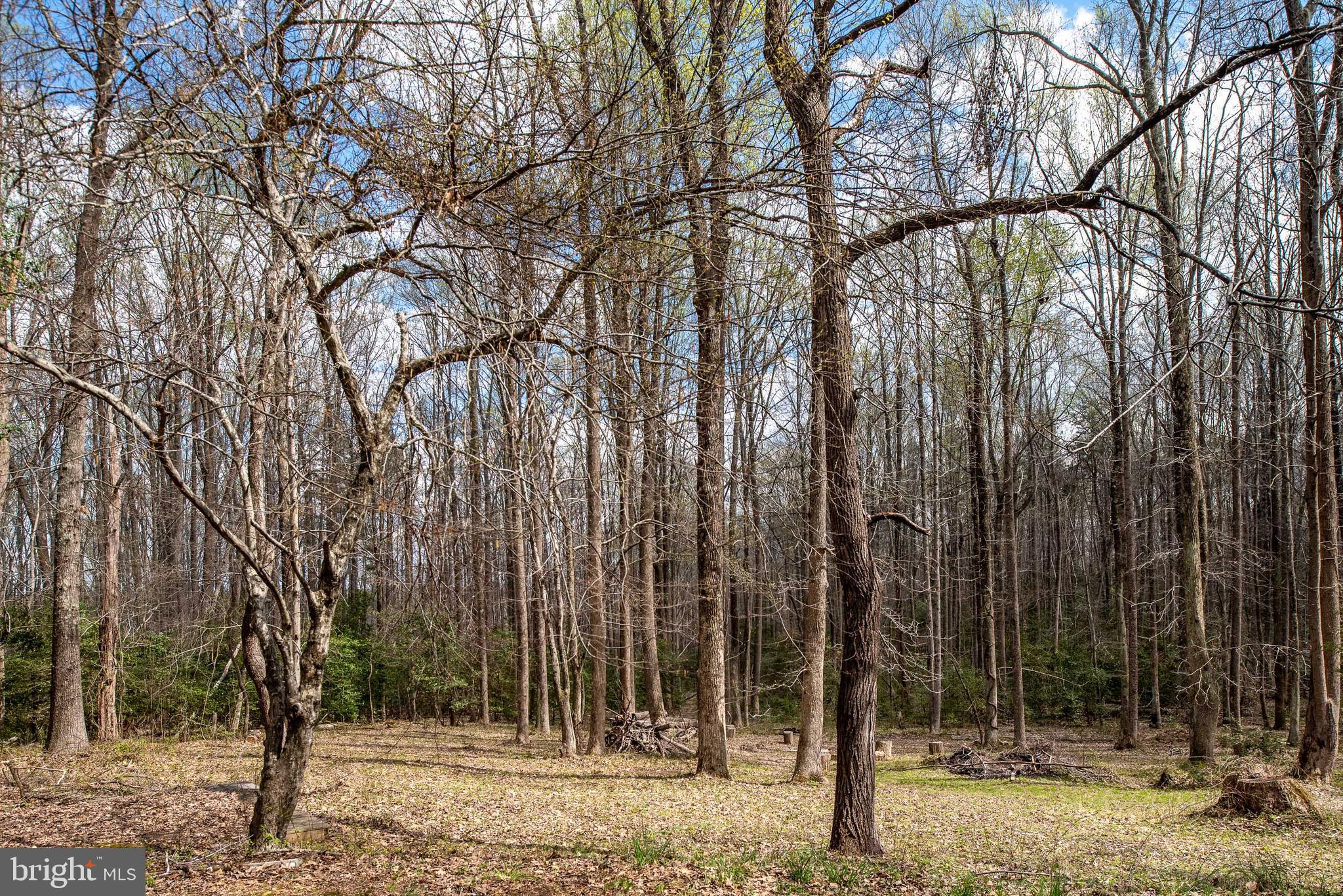 9471 Lothian Road King George, VA 22485 - Photo 63 of 72 Gallery Image 63