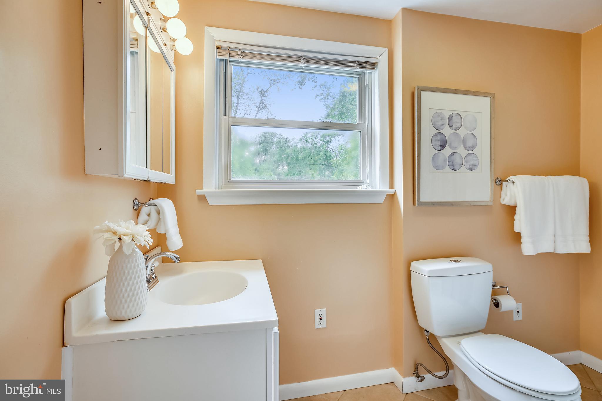 1008 Robin Road Silver Spring, MD 20901 - Photo 21 of 36 Beautifully updated upper level full bath