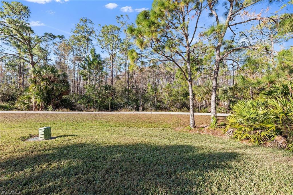 9996 Horse Creek Road Fort Myers, FL 33913 - Photo 39 of 44 a view of a yard with an trees