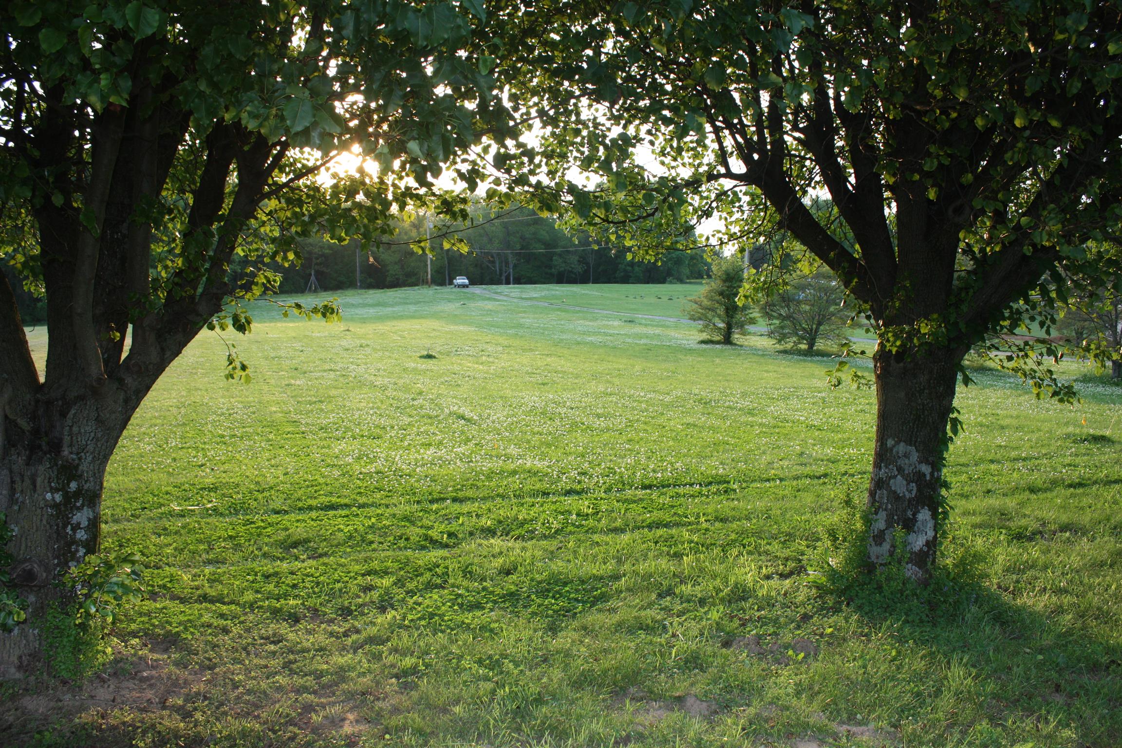 766 Waldron Road La Vergne, TN 37086 - Photo 14 of 20 Gallery Image 14