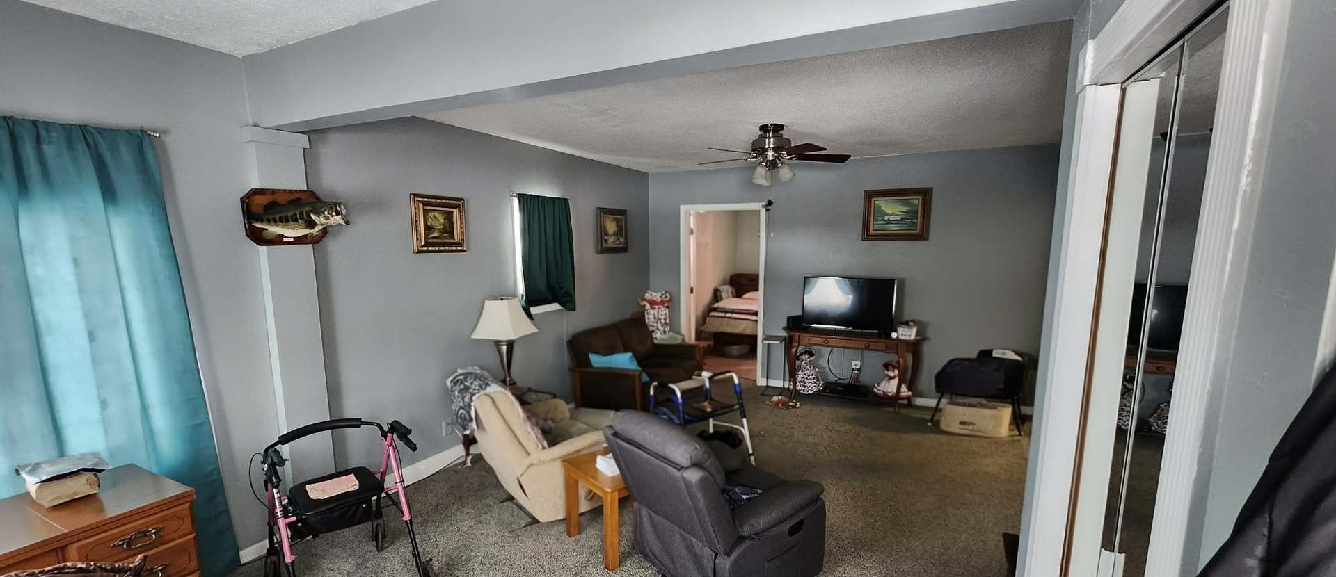 209 West Florence Street Sesser, IL 62884 - Photo 5 of 8