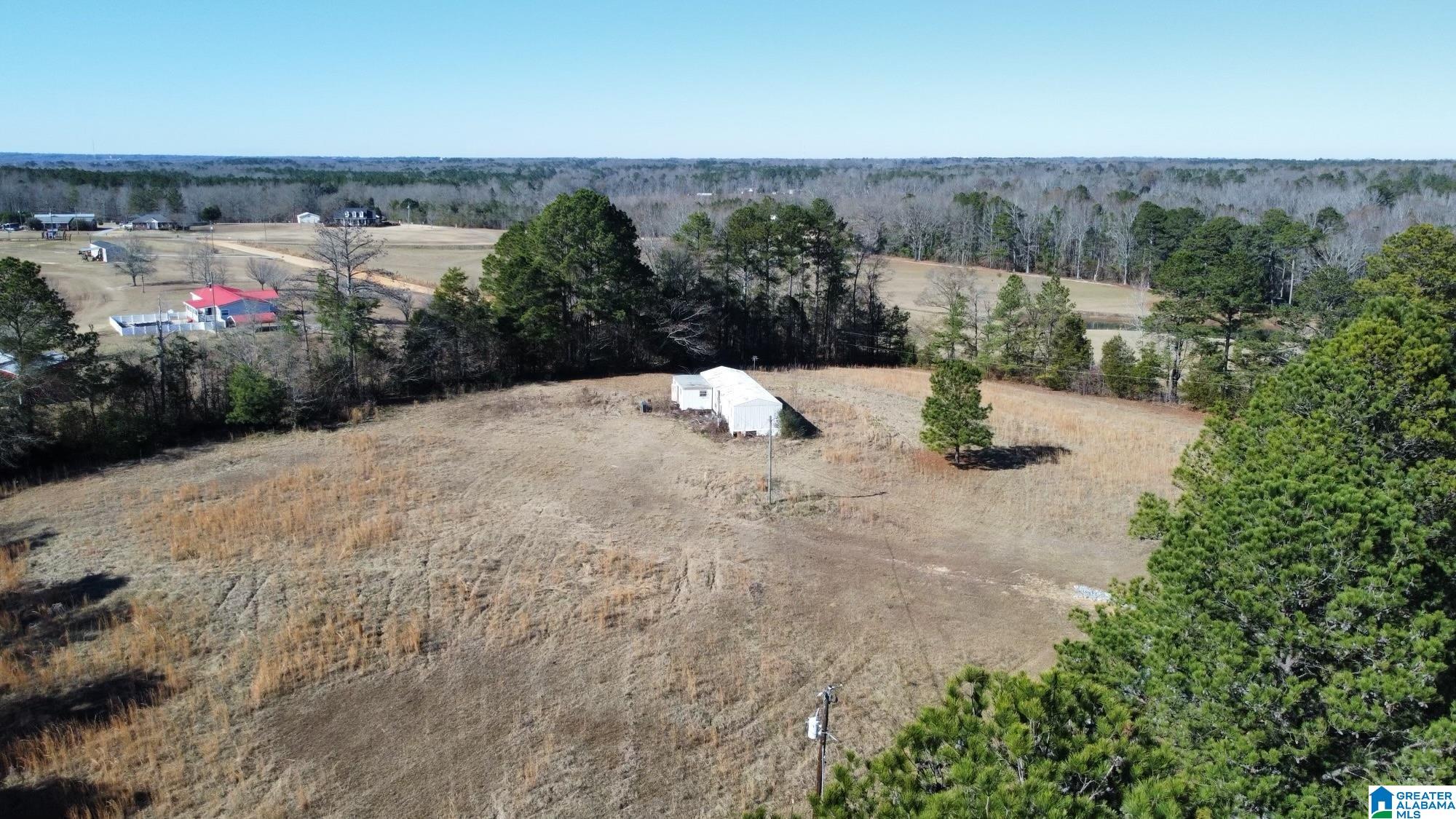 40 County Road 494 Verbena, AL 36091 - Photo 8 of 16