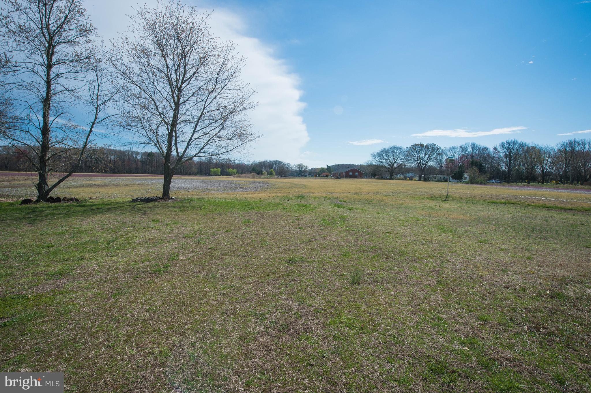 36388 Poplar Neck Road Willards, MD 21874 - Photo 13 of 34 a view of a field with an trees