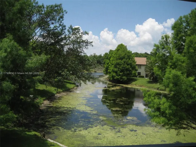 a view of a lake from a yard