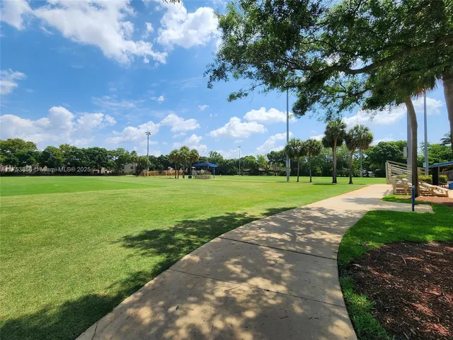 a view of a park with large trees