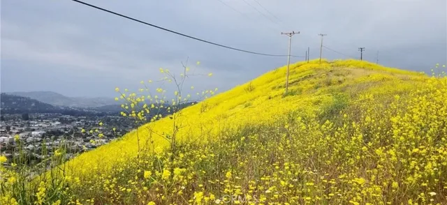 a blue swimming pool is in a backyard