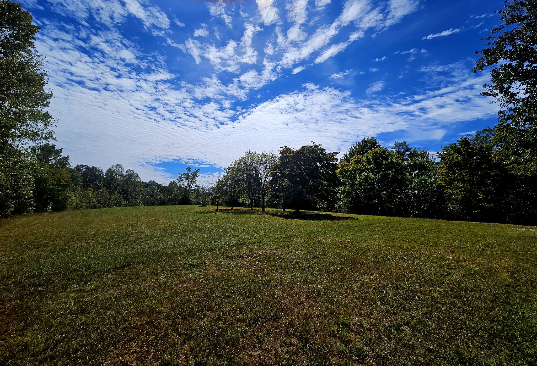 420 Carroll Ridge Road Pulaski, TN 38478 - Photo 11 of 35 Gallery Image 11