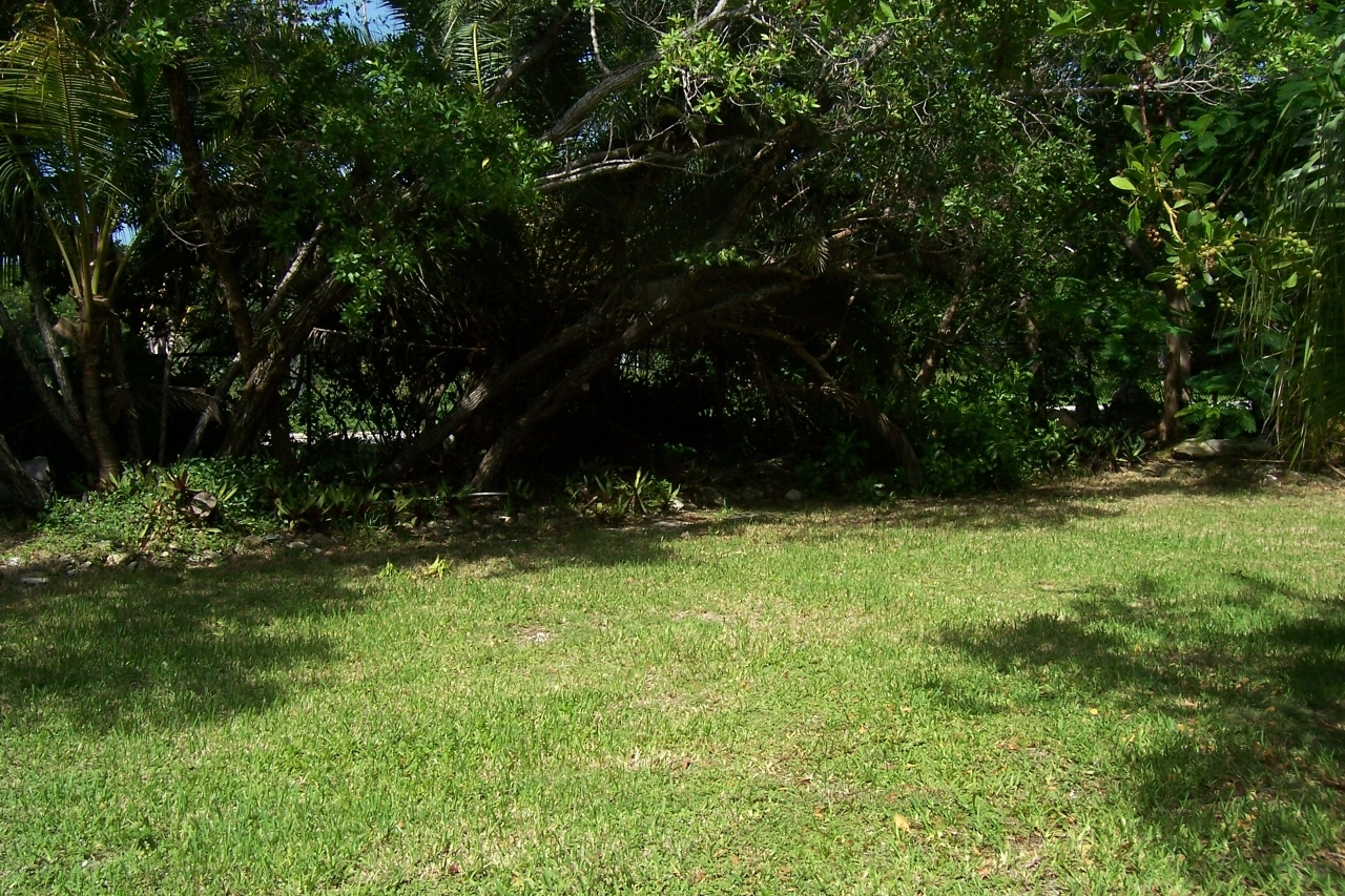 1135 Warner Road Summerland Key, FL 33042 - Photo 13 of 13 Lush Landscaping