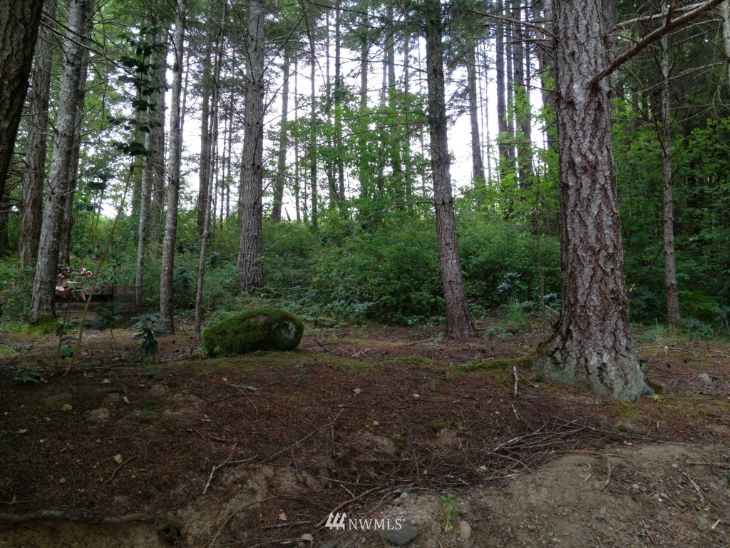 512 McInnis Road Quilcene, WA 98376 - Photo 14 of 15 Gallery Image 14