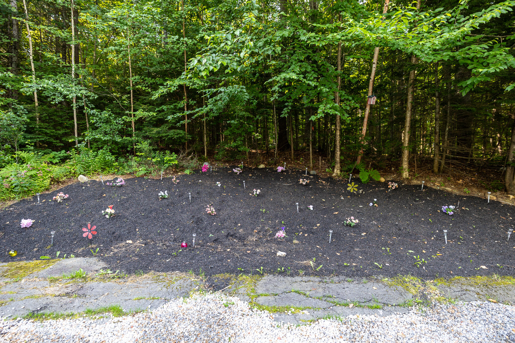206 Livermore Falls Road Farmington, ME 04938 - Photo 57 of 62 HY3A5139