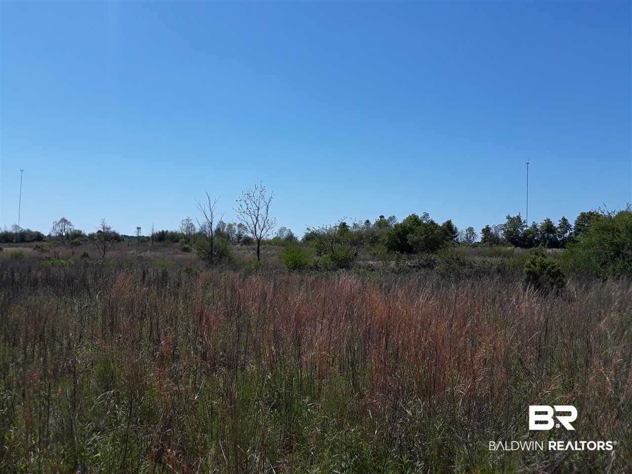 0 County Road 68 Extension Robertsdale, AL 36567 - Photo 6 of 9