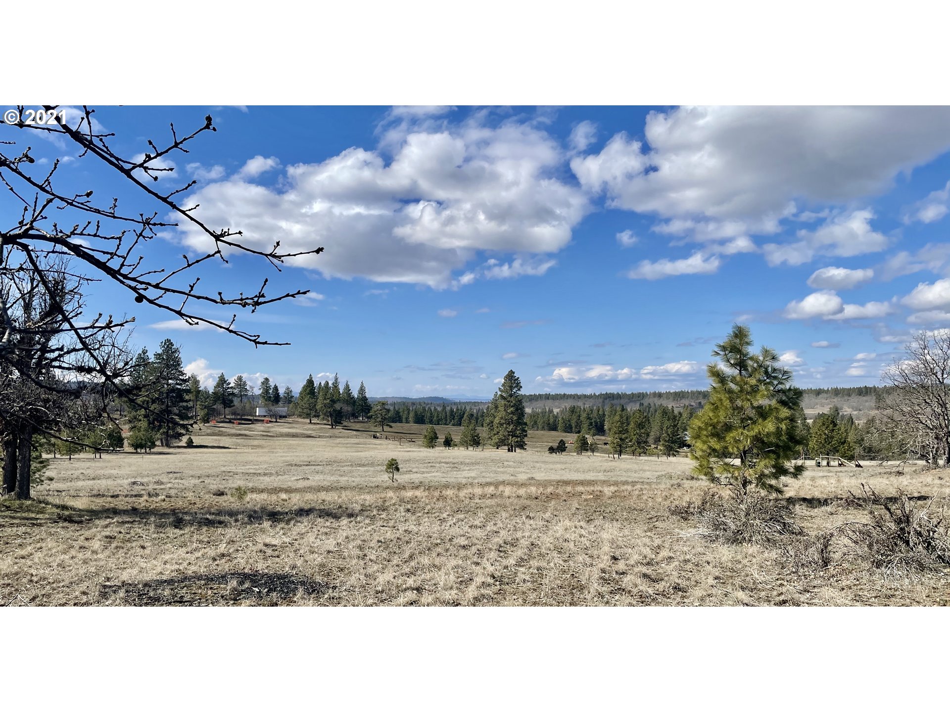 305 Woodland Road Goldendale, WA 98620 - Photo 11 of 32 Gallery Image 11