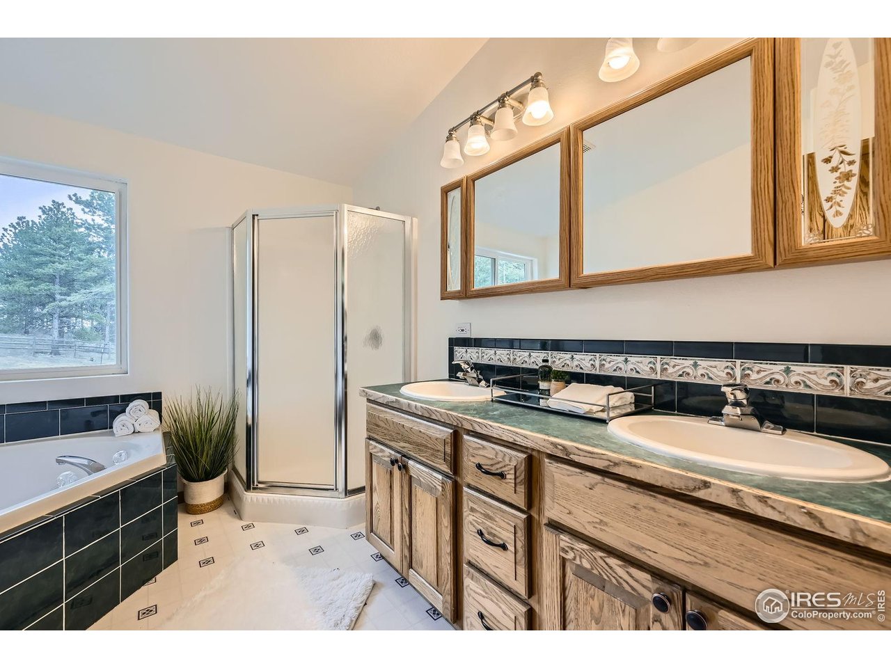 613 Ranch Road Ward, CO 80481 - Photo 12 of 37 Primary en suite 5-piece bathroom