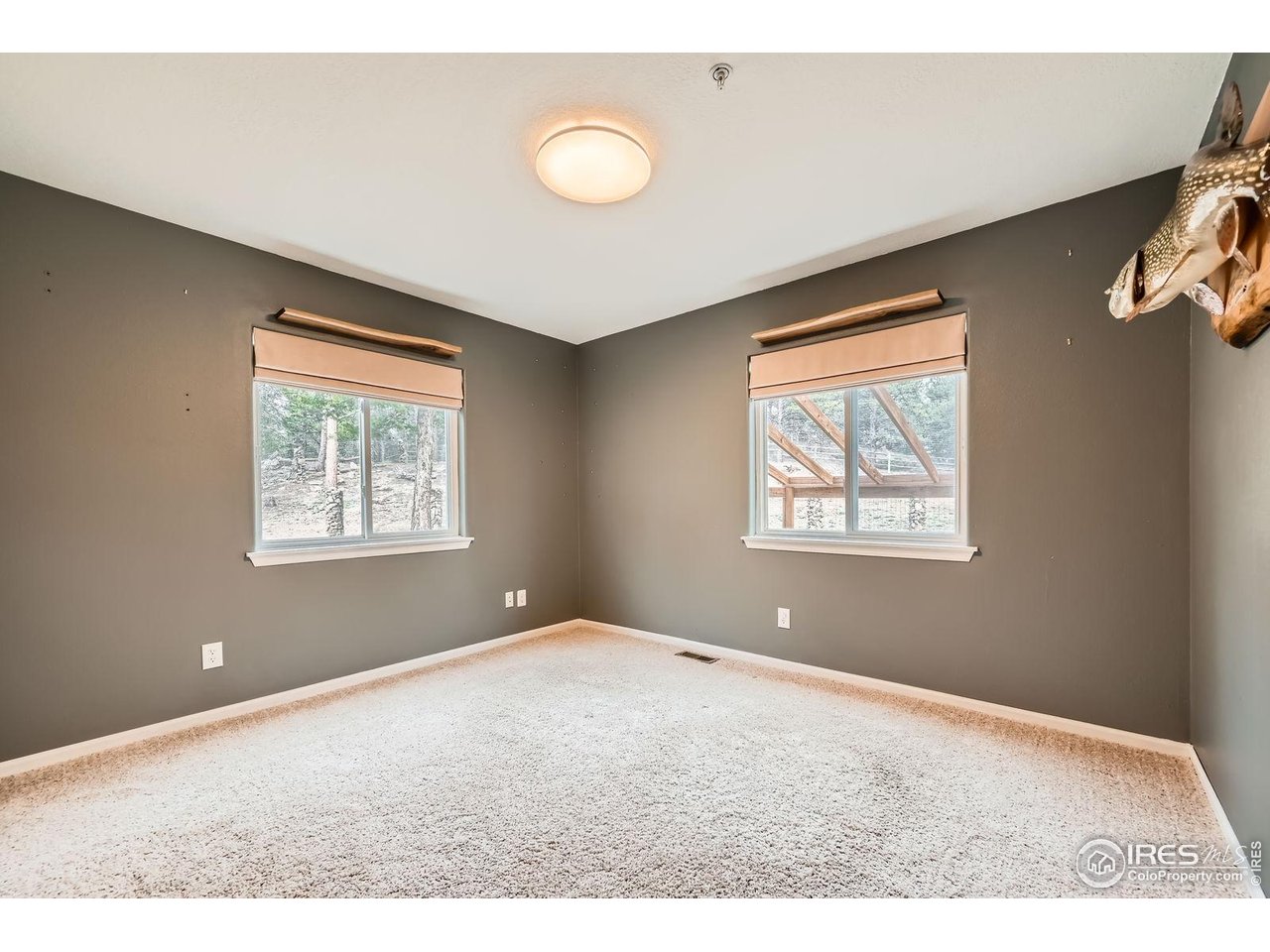 613 Ranch Road Ward, CO 80481 - Photo 17 of 37 Third bedroom - on main floor