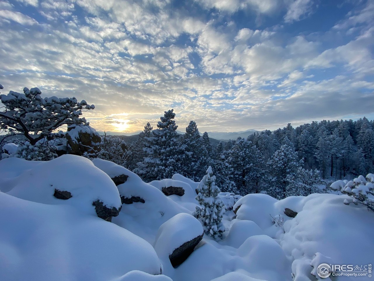 613 Ranch Road Ward, CO 80481 - Photo 30 of 37 Winter in the Bar-K is incredible (and yes, Boulder County takes care of the neighborhood plowing!)
