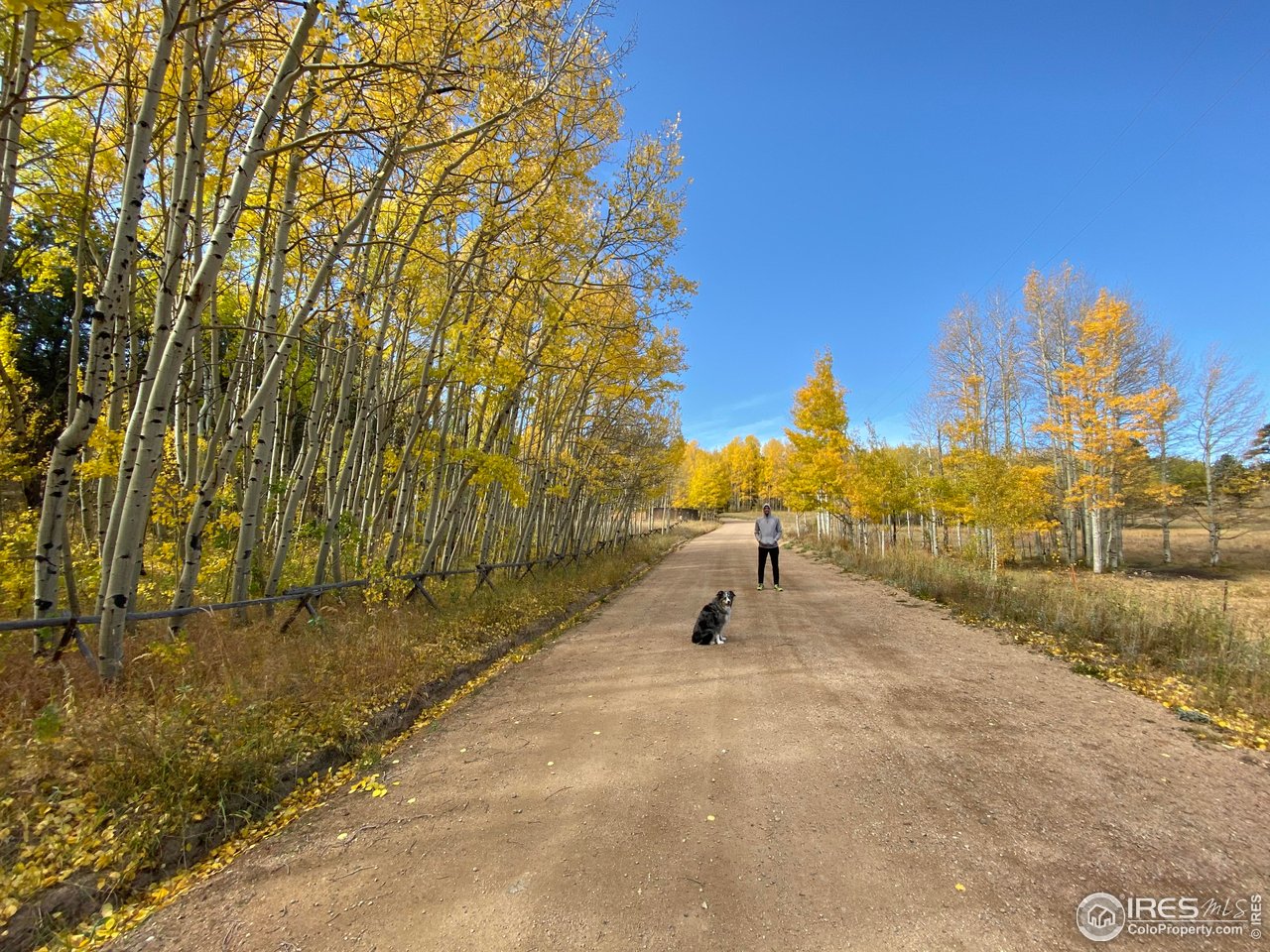 613 Ranch Road Ward, CO 80481 - Photo 36 of 37 Fall is breathtaking up here!