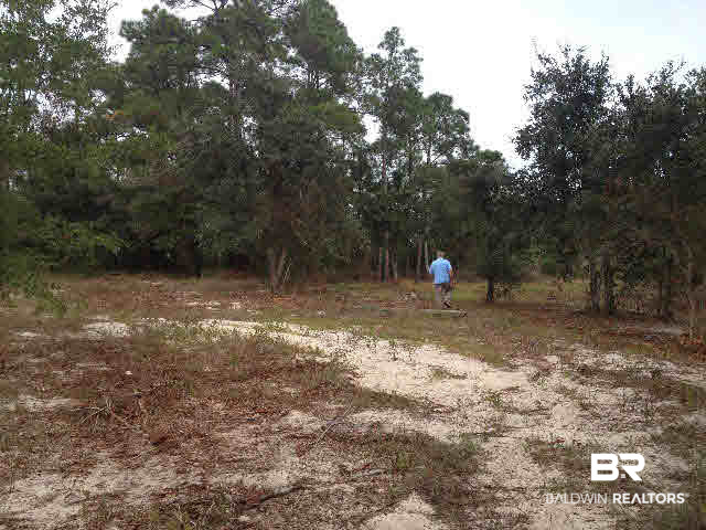 0 Plash Road Gulf Shores, AL 36542 - Photo 4 of 7