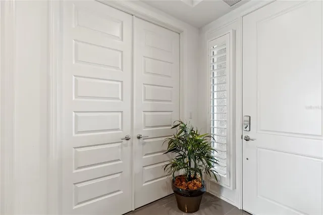 a potted plant in front of a door