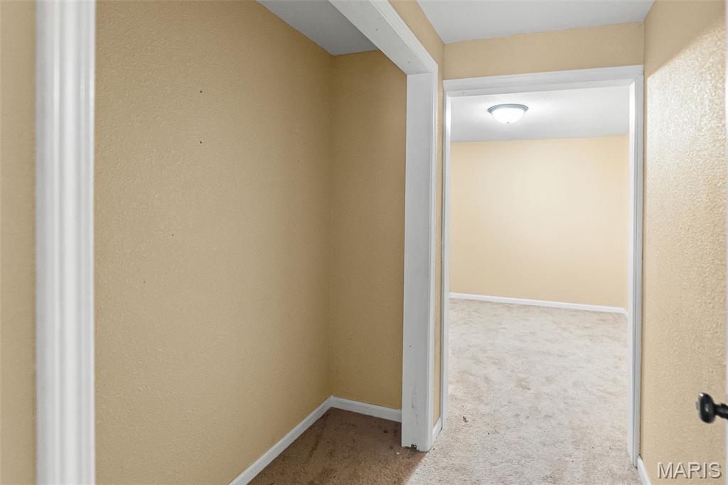 204 South Euclid Street Marissa, IL 62257 - Photo 24 of 30