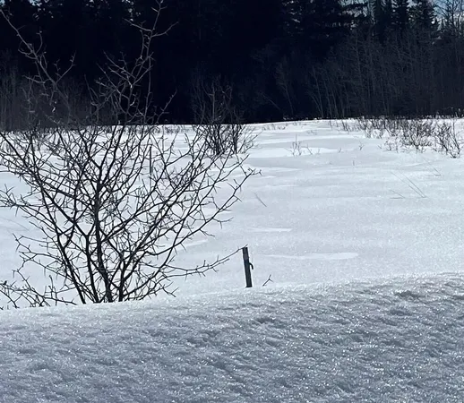 $94,500 | 778 New Dunn Town Road, Wade, ME 04786