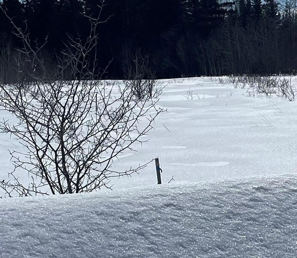 778 New Dunn Town Road Wade, ME 04786 - Photo 4 of 4 778 new dunntown