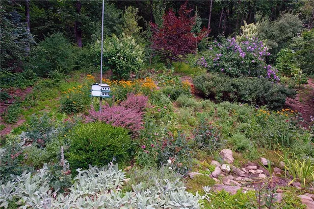 a view of a garden with flowers