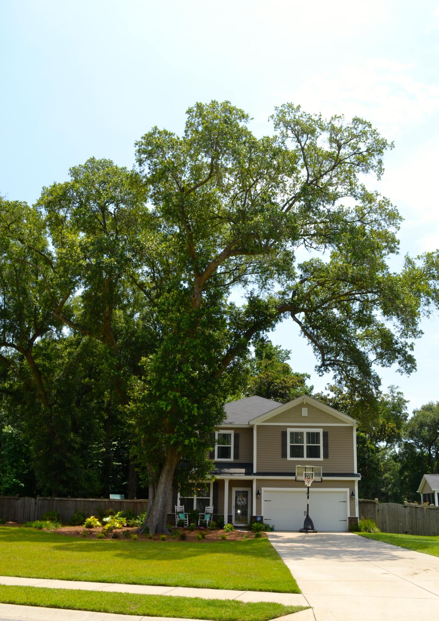 3629 Locklear Lane Mount Pleasant, SC 29466 - Photo 3 of 41 DSC_0593