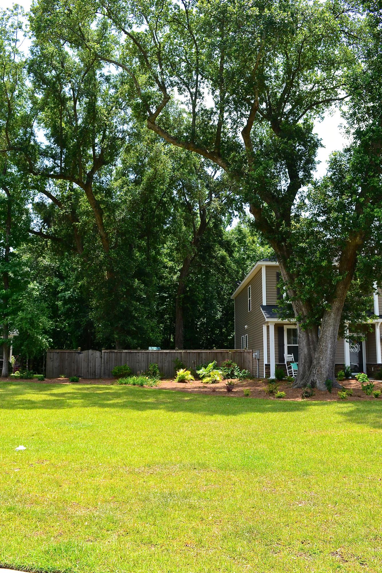 3629 Locklear Lane Mount Pleasant, SC 29466 - Photo 4 of 41 DSC_0597