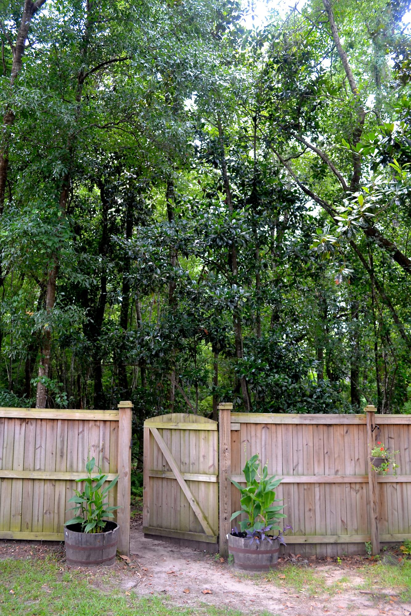 3629 Locklear Lane Mount Pleasant, SC 29466 - Photo 38 of 41 DSC_0523