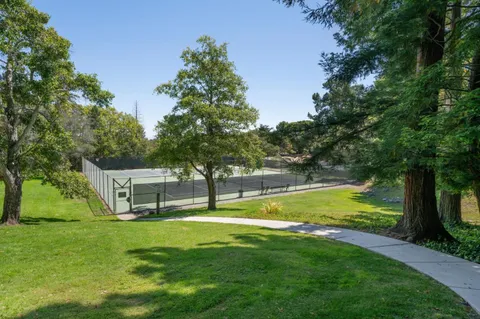 a view of a park with large trees