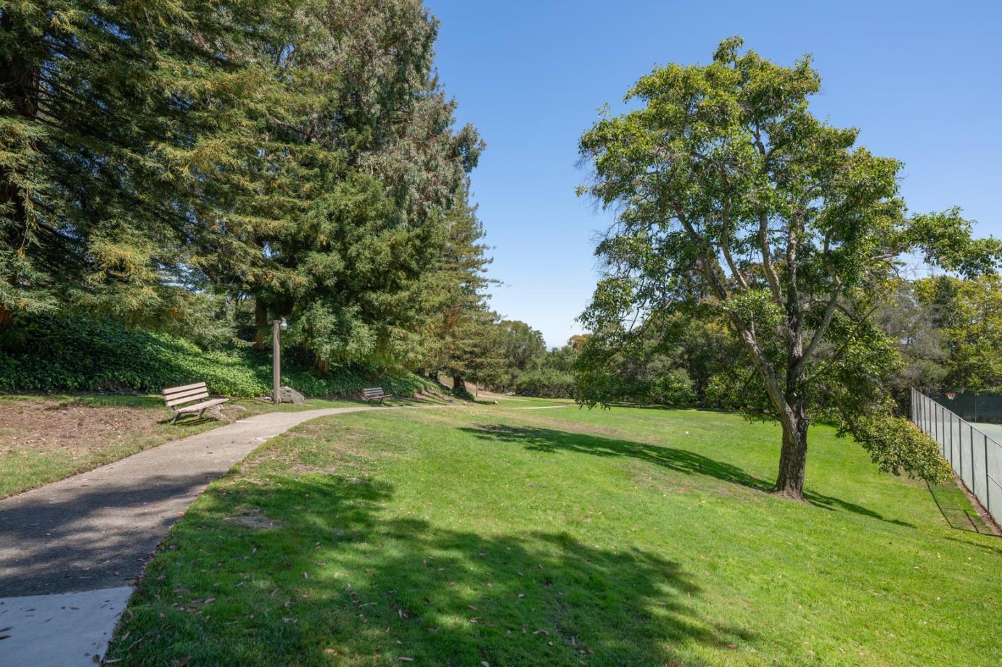 38 Weepingridge Court San Mateo, CA 94402 - Photo 25 of 25 a view of a park with large trees