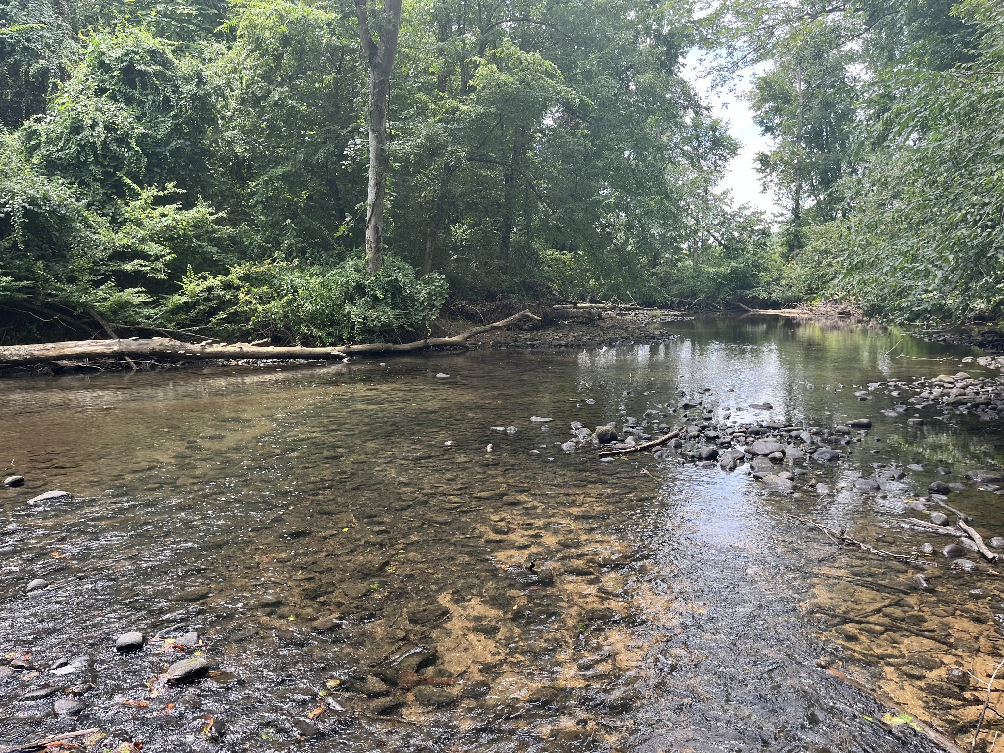 0 Hills Creek Road McMinnville, TN 37110 - Photo 1 of 16 a view of a lake with a forest