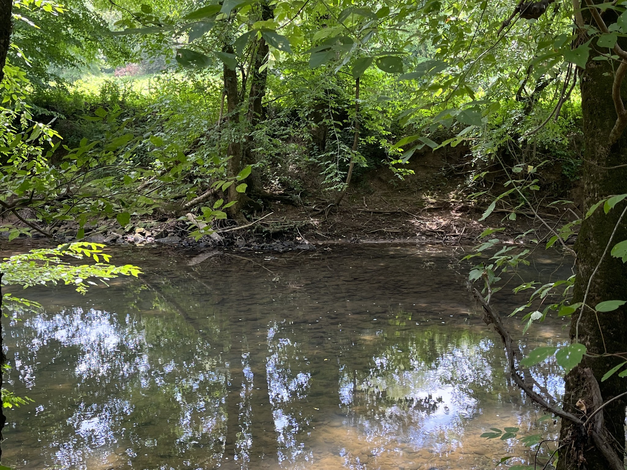 0 Hills Creek Road McMinnville, TN 37110 - Photo 12 of 16