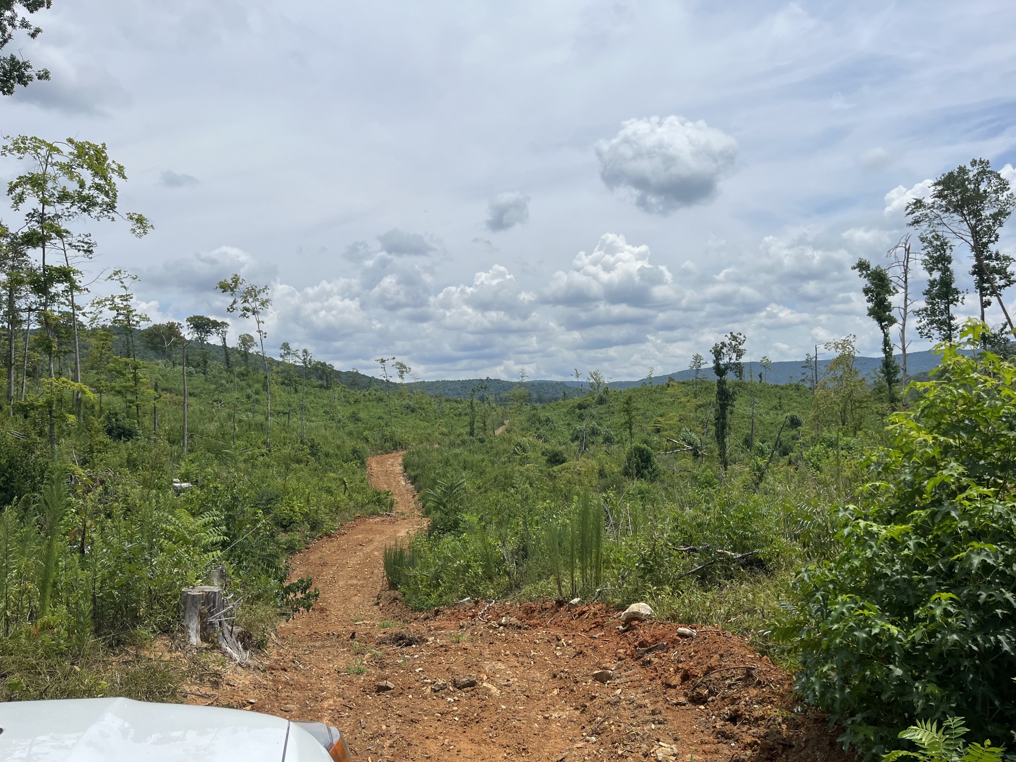 0 Hills Creek Road McMinnville, TN 37110 - Photo 15 of 16 a view of a city