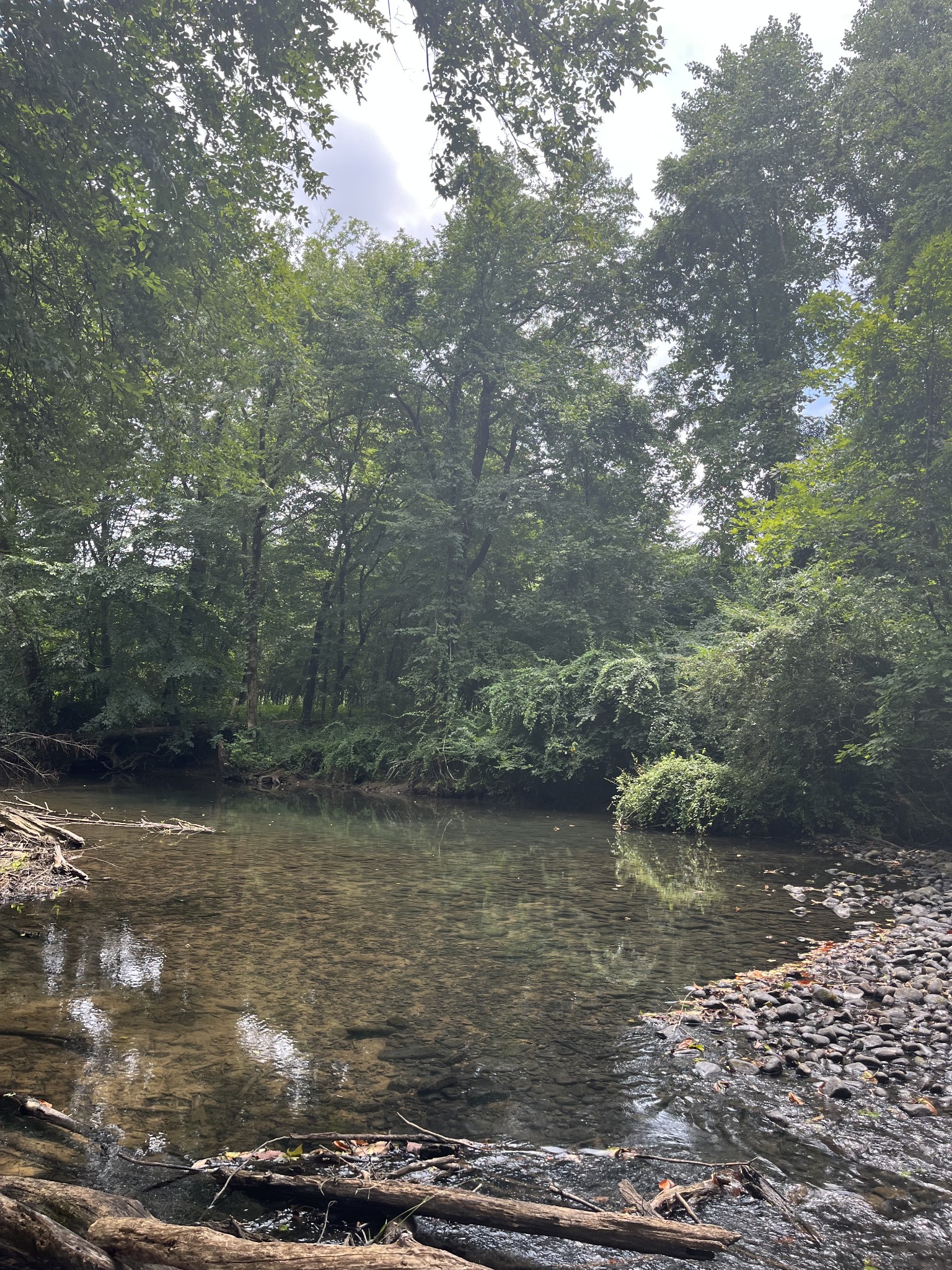 0 Hills Creek Road McMinnville, TN 37110 - Photo 2 of 16 a view of a lake view