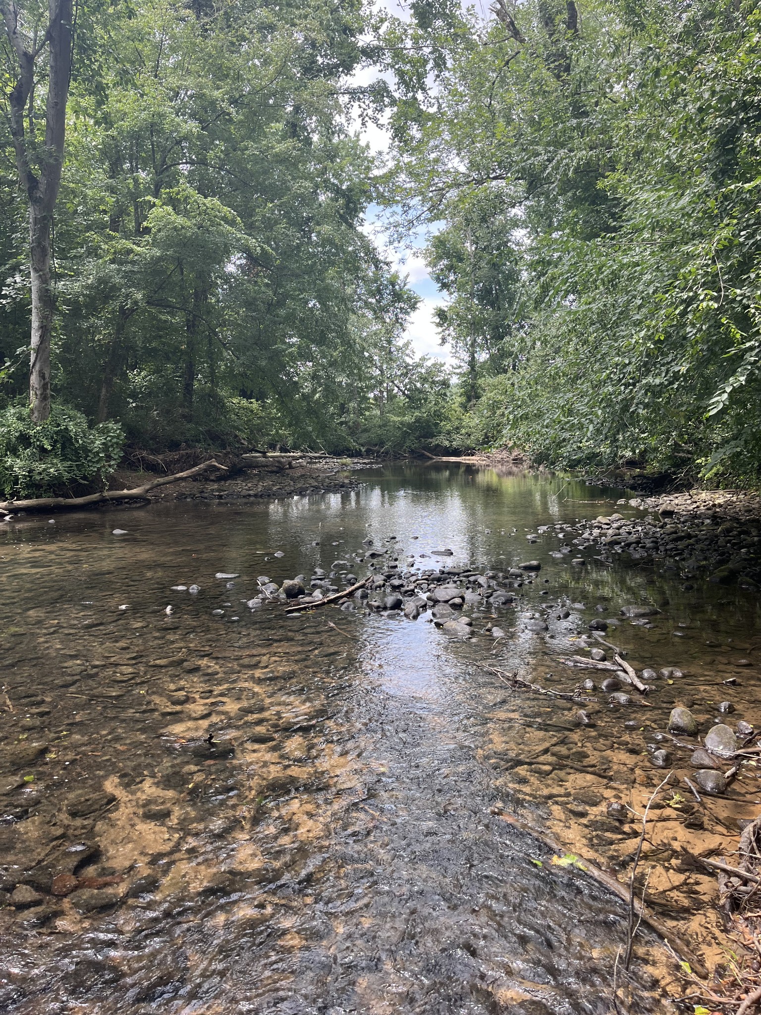 0 Hills Creek Road McMinnville, TN 37110 - Photo 3 of 16 a view of a lake view