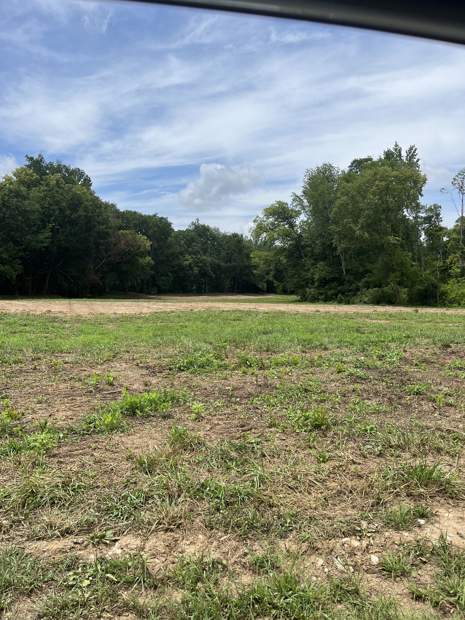 0 Hills Creek Road McMinnville, TN 37110 - Photo 5 of 16 a view of field with trees in the background