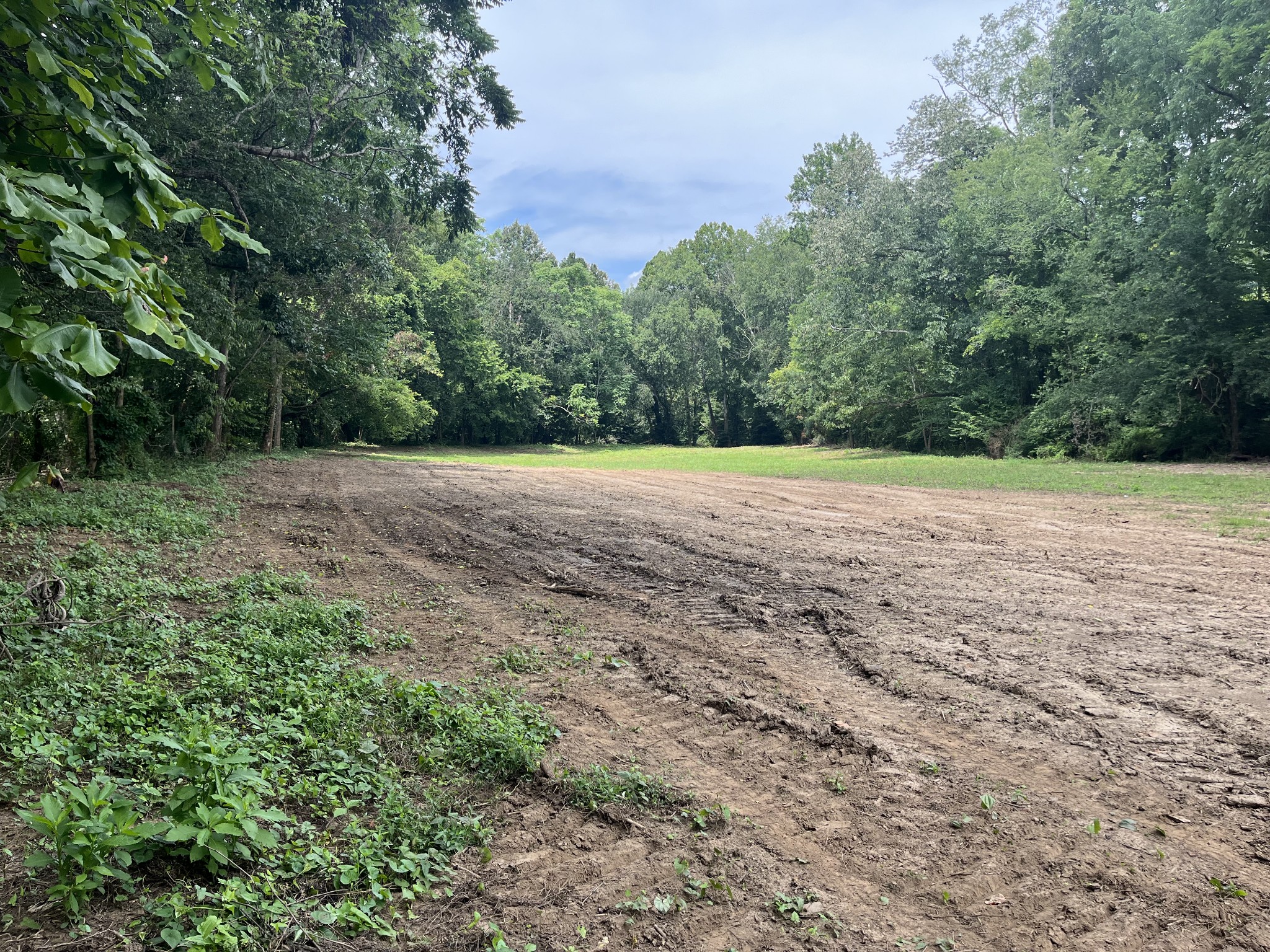 0 Hills Creek Road McMinnville, TN 37110 - Photo 7 of 16 a view of a field with trees in the background