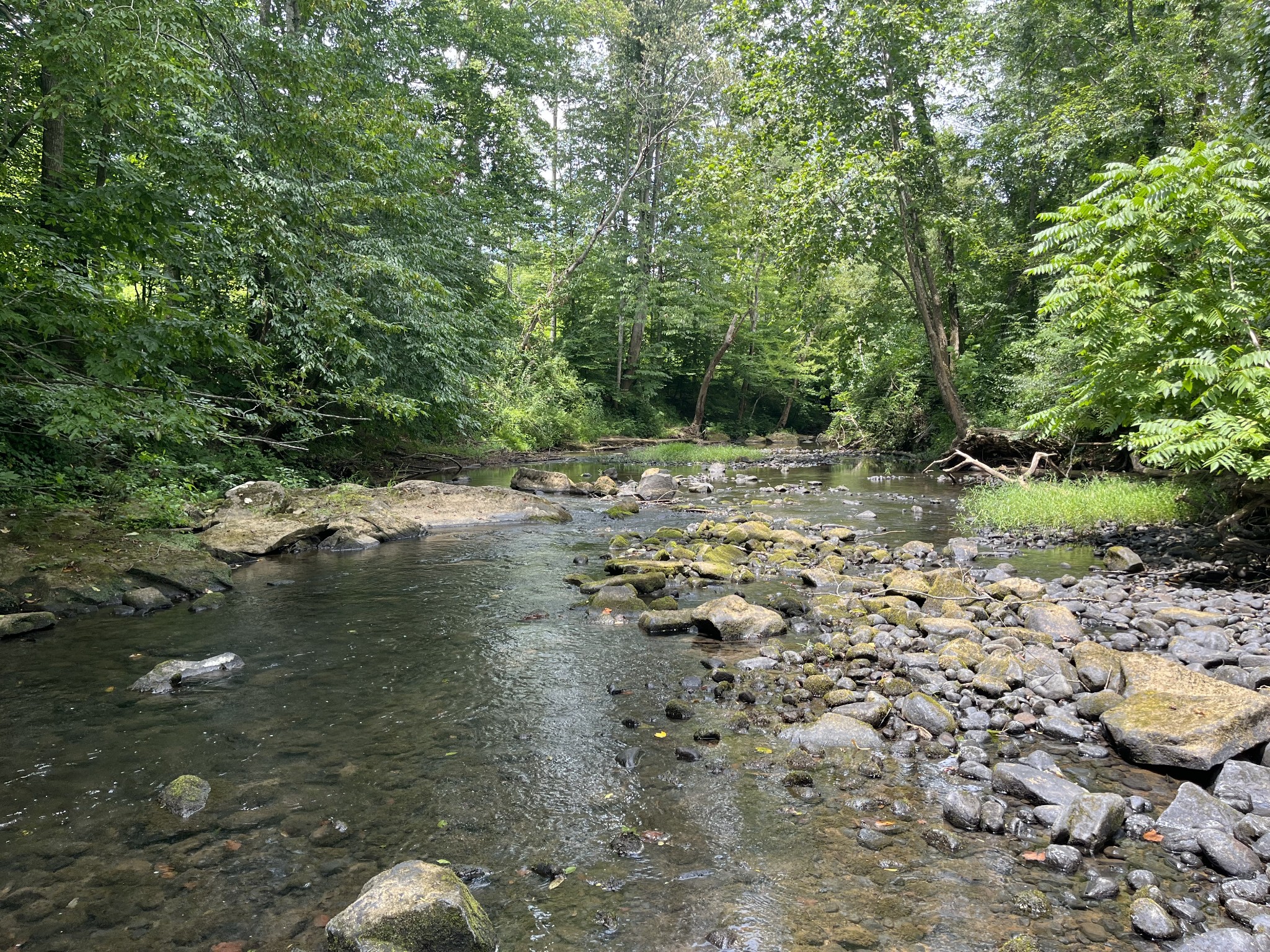 0 Hills Creek Road McMinnville, TN 37110 - Photo 10 of 16 a view of a lake with trees